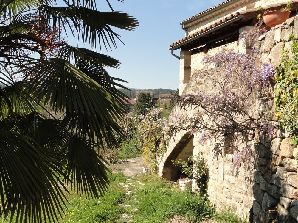 Chambre D'Hotes Au Creux Du Chambon Joyeuse Exterior photo